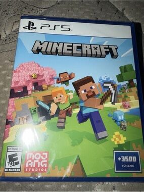 Sony PS5 Minecraft - Blue Case Artwork